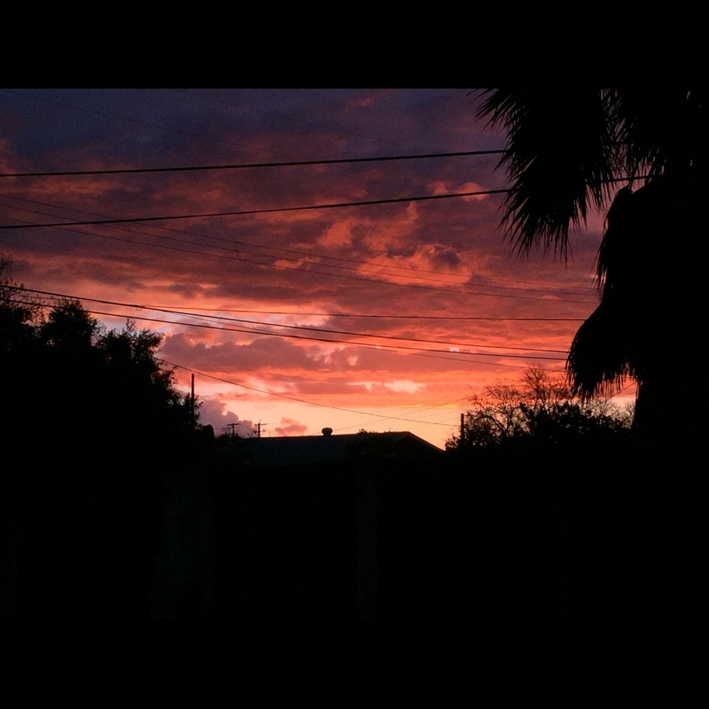 Meet your Posher, Lizette